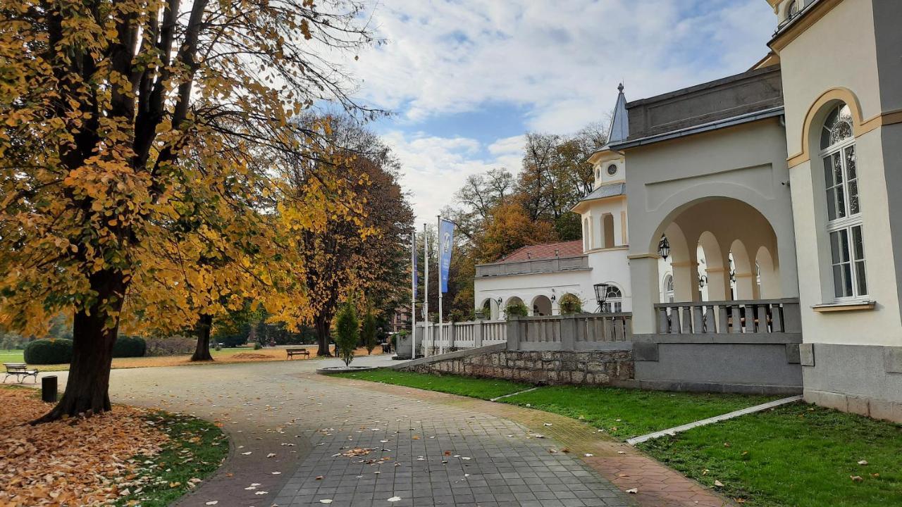 Apartman Mila, Banja Koviljača Exterior foto